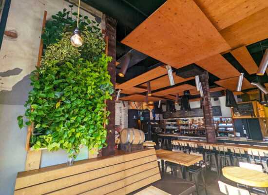 Mur vert - @La ligne verte - Siboire - Mur modulaire INOX