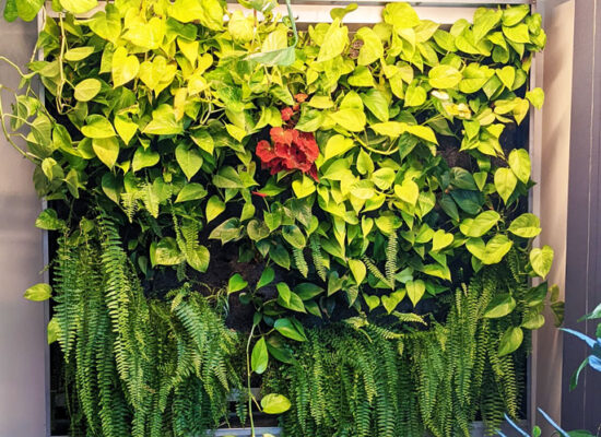 Mur végétal - @La ligne verte - mur meuble - mur vert sur pattes - résidentiel