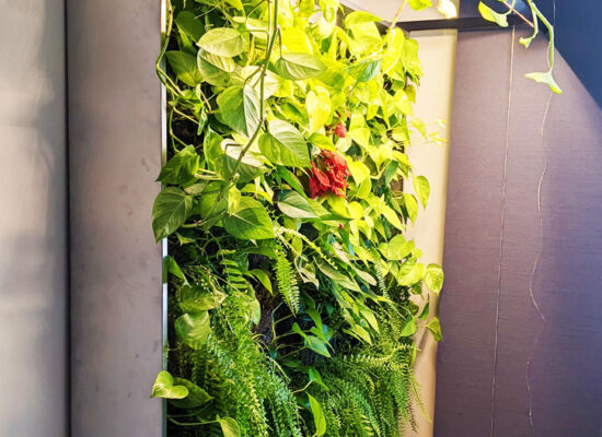 Mur végétal - @La ligne verte - mur meuble - mur vert sur pattes - résidentiel