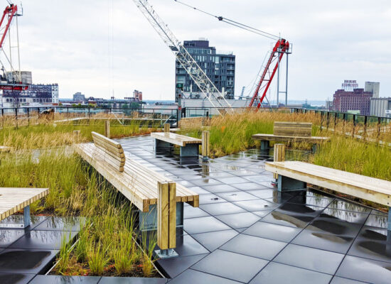 Toiture végétale - @La ligne verte - Toit vert - Terrasse Le Duke (1) Toit vert et toit terasse en dalles sur plot - Toiture végétale @La ligne verte - Toit vert