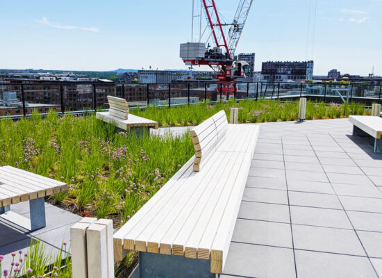 Toiture végétale - @La ligne verte - Toit vert - Terrasse Le Duke (2) Toit vert et toit terasse en dalles sur plot - Toiture végétale @La ligne verte - Toit vert