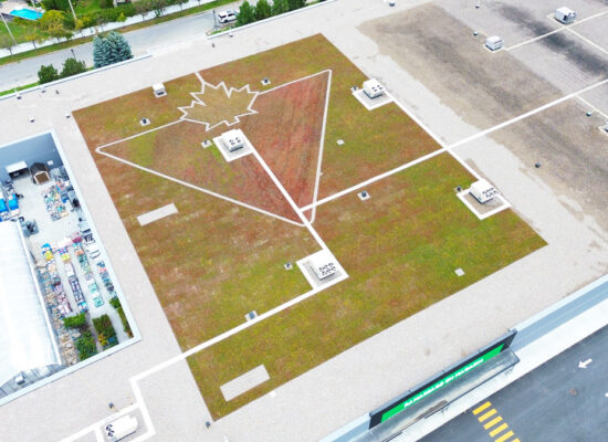 Toiture végétale extensive @La ligne verte - Toit vert - Canadian Tire -Kirkland