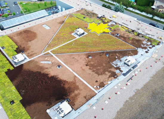 Toiture végétale extensive @La ligne verte - Toit vert - Canadian Tire -Kirkland